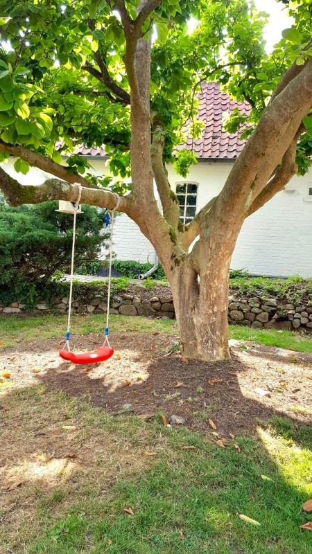 Unser Kletterbaum